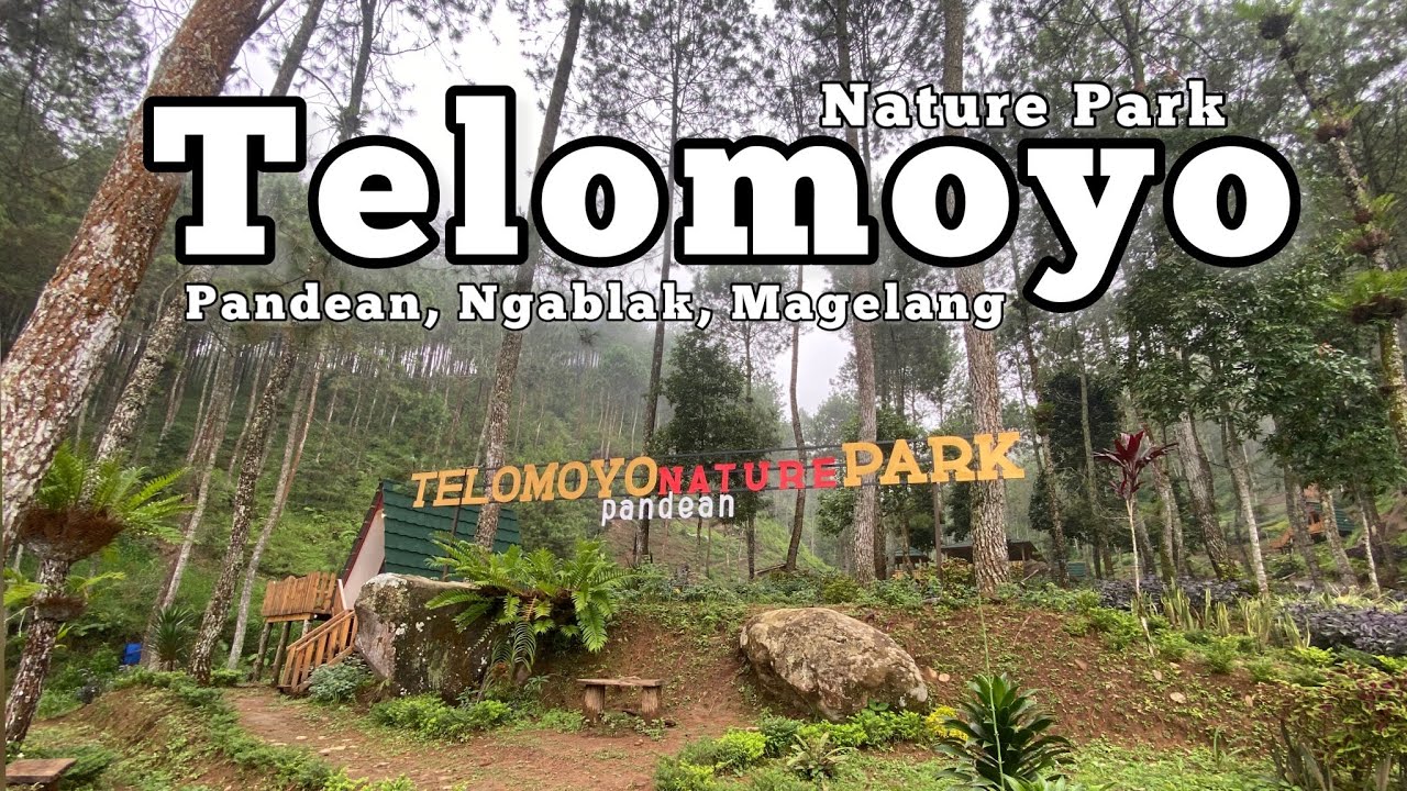 Telomoyo Nature Park: Menjelajahi Keindahan Alam Jawa Tengah